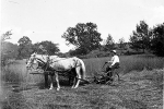 2006.0260.008-Farmer-cuttin