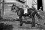 2006.0268.007A-Dog-on-horse.jpg
