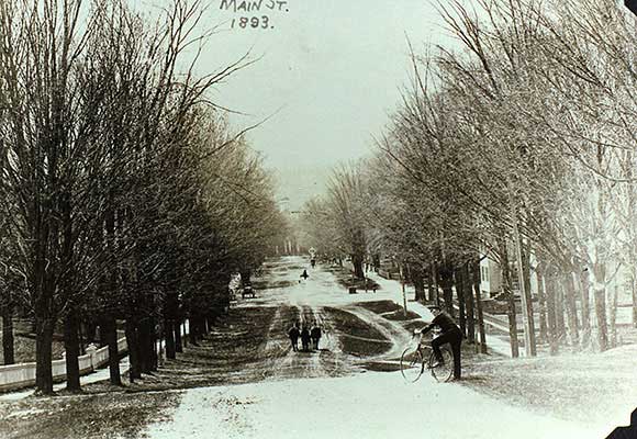 Main St. with elms, circa 1893