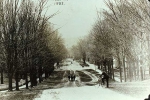 Main St. with elms, circa 1893